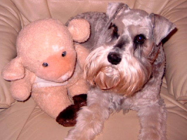 Me and my sheep