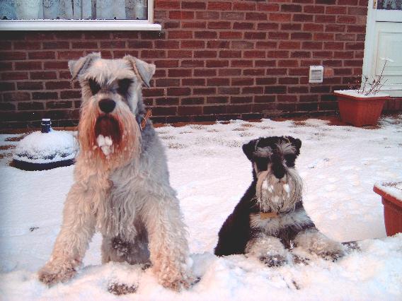 It's snowing!