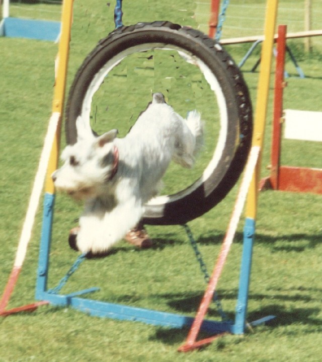 Through the tyre