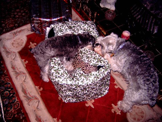 Unwrapping at Christmas