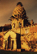 The Pineapple