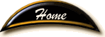 Back to Homepage