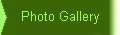 [Photo Gallery]