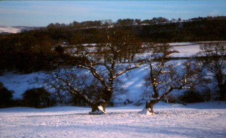 Adam & Eve, Glaisdale