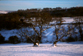 Adam & Eve, Glaisdale.