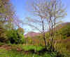 Paisaje