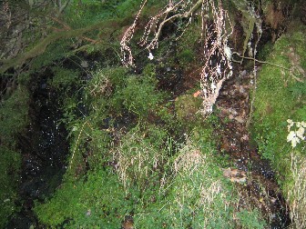 Varia il agua