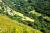 Ferraduras