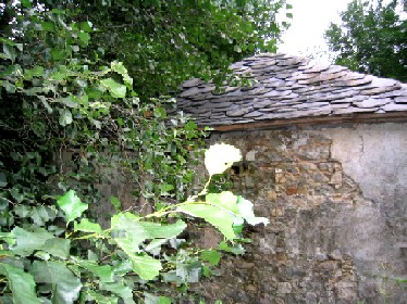 Mul�n del Buelo
