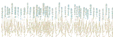 Free Bible e-mail
