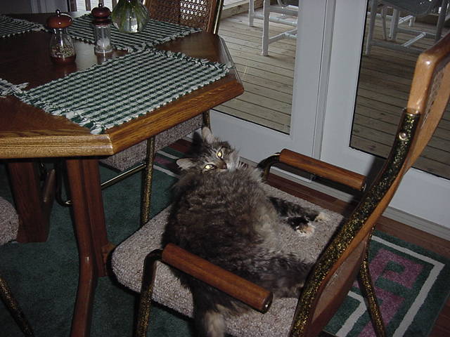 Image 12 of 30  -  60 kB