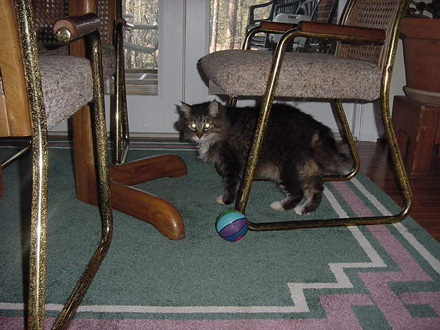 Image 15 of 30  -  16 kB