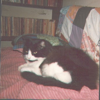 Image 22 of 30  -  27 kB