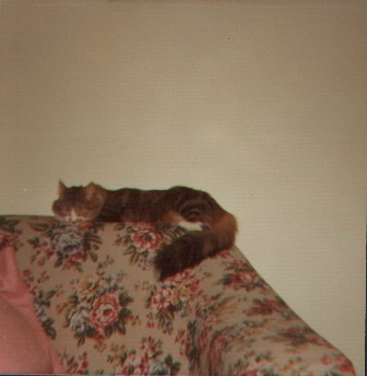 Image 24 of 30  -  22 kB