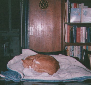 Image 25 of 30  -  34 kB