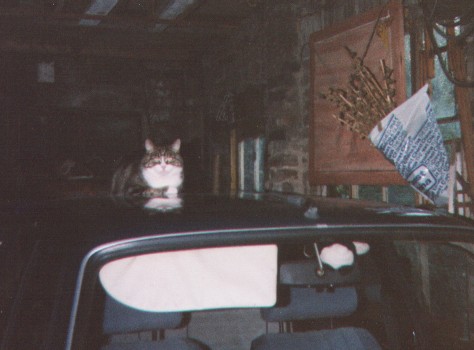 Image 26 of 30  -  36 kB