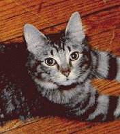 Image 7 of 30  -  17 kB