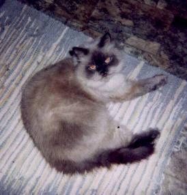 Image 11 of 30  -  15 kB