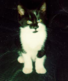 Image 18 of 30  -  7 kB