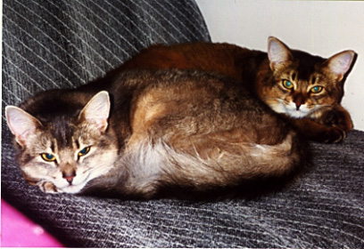 Image 27 of 30  -  61 kB