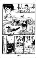 Chinmi watch bird why it can fly