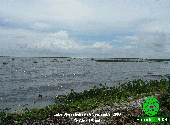 The northern shores of Lake Okeechobee