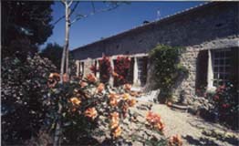 Cour d'arriv�e