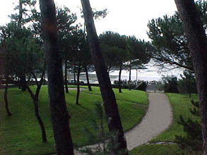 vue du jardin