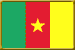 Bandera de Camerun