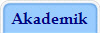 Akademik