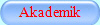 Akademik