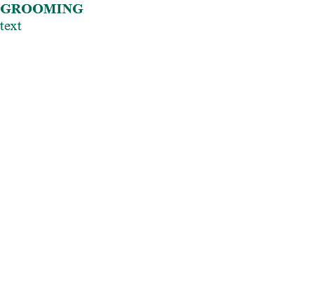 GROOMING text 