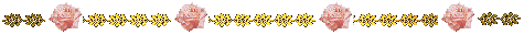 barra21.gif (3478 bytes)