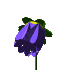 bFLOWERblue.gif (5922 bytes)