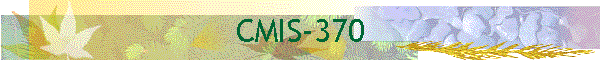 CMIS-370