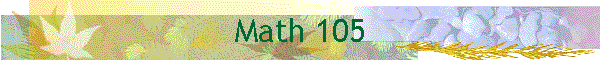 Math 105