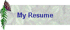 My Resume