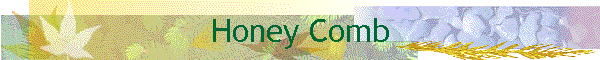 Honey Comb