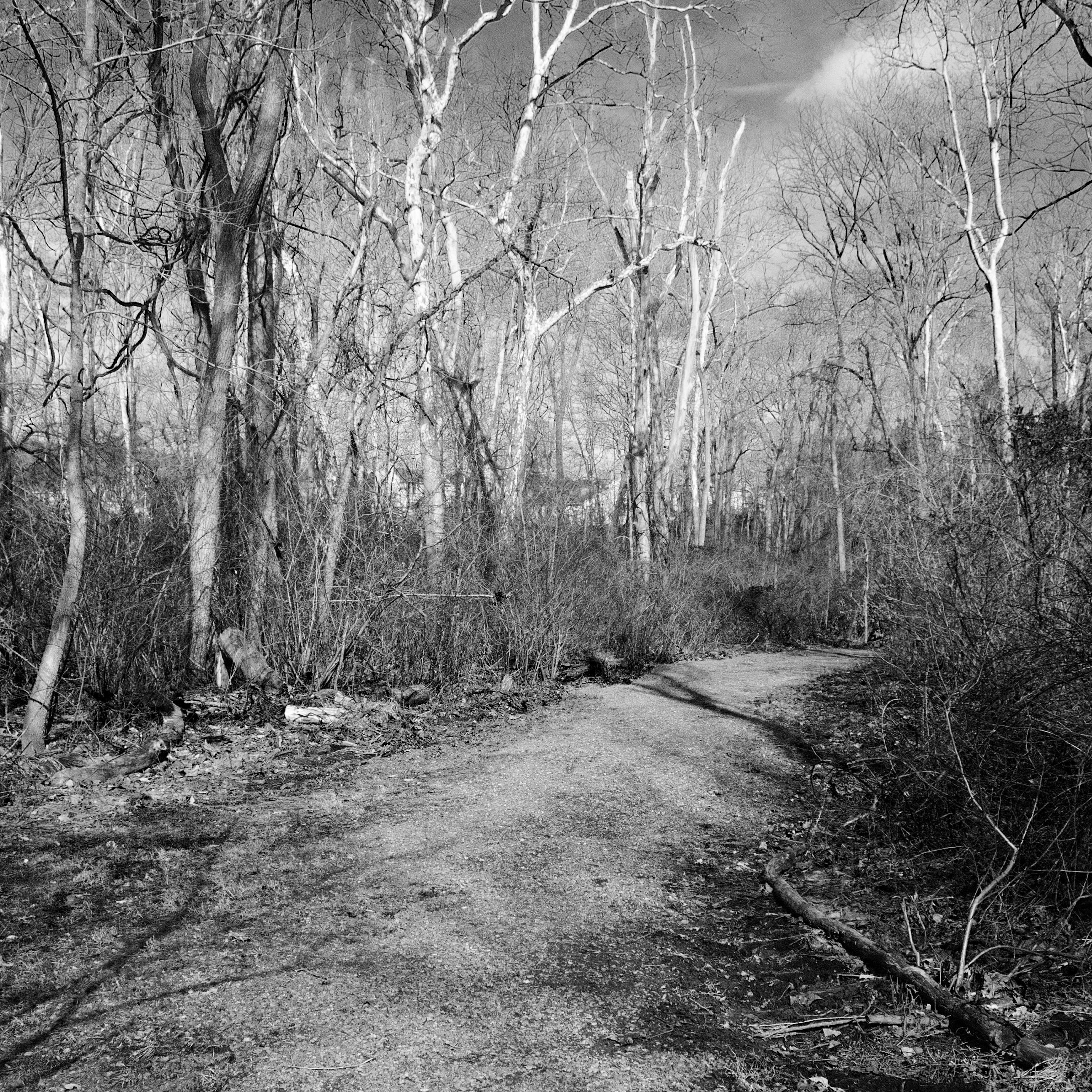 Thumbnail Image 1