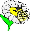 Dees_c.gif (5690 bytes)
