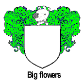 bigflowers.gif (5587 bytes)