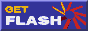 FlashPlayer