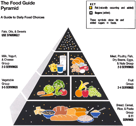 The Food Pyramid