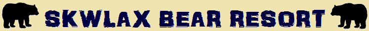banner.
