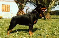 Keisy
