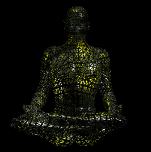 meditate.gif (38718 bytes)