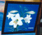 xgilflower.gif (3338 bytes)