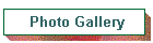 Photo Gallery