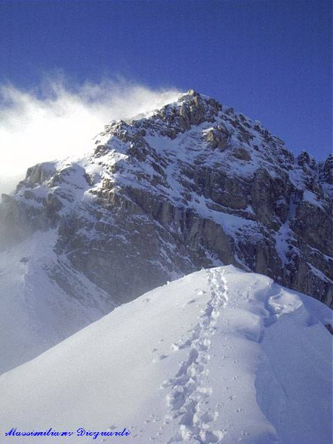 Cefalone01.jpg, 12/12/2001, 41 kB