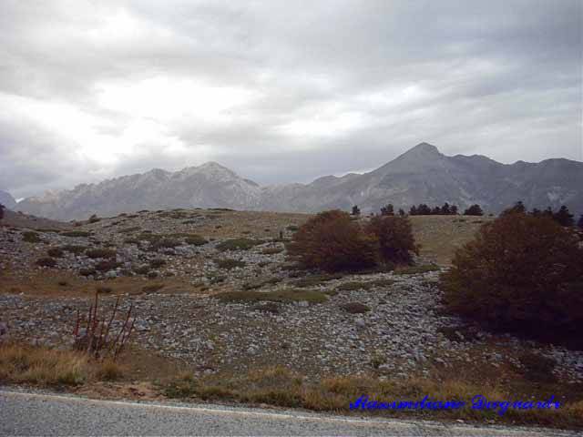 Prena03.jpg, 12/12/2001, 36 kB